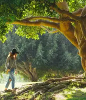 Nature