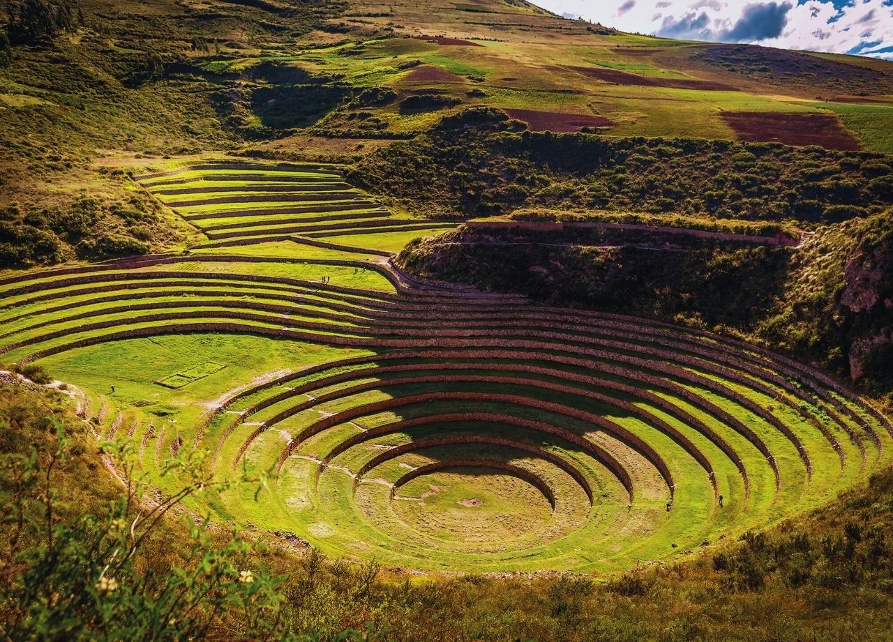 Imagen galería