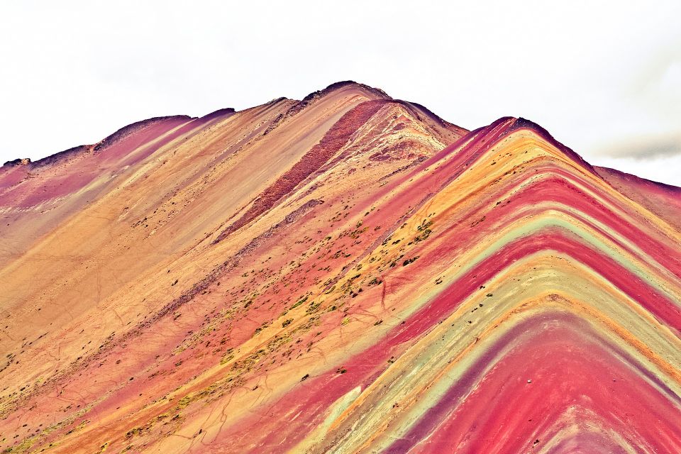 Imagen galería