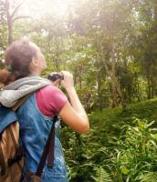 Ecoturismo