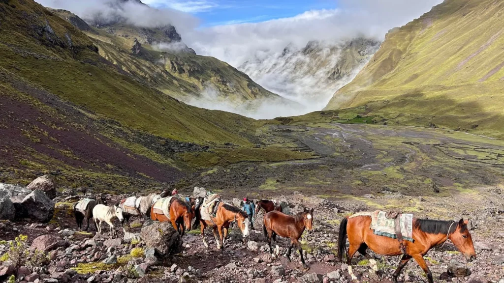 4D Lares y Camino Inca