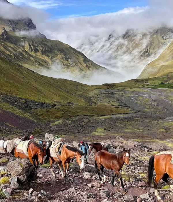 4D Lares y Camino Inca