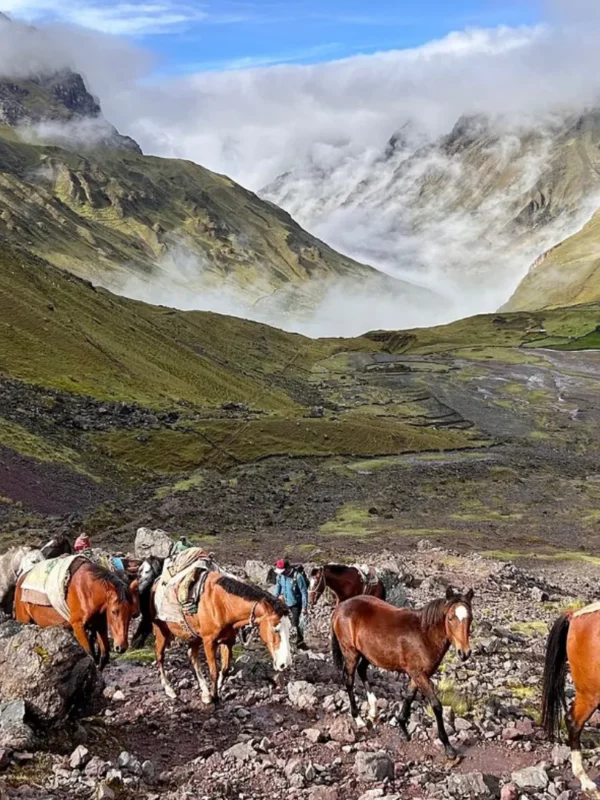 4D Lares y Camino Inca