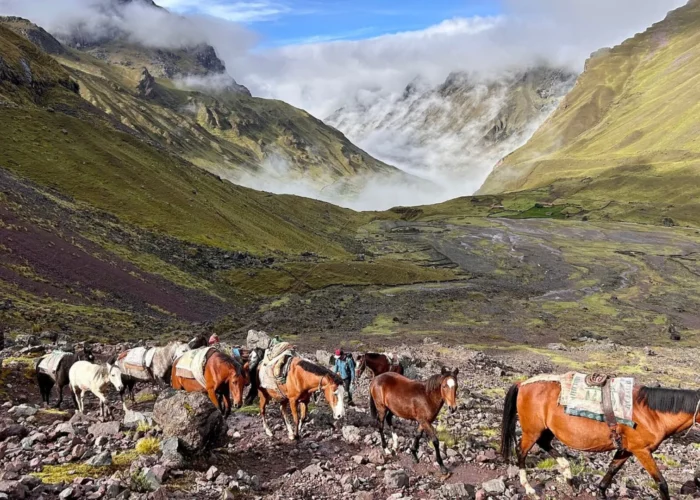 4D Lares y Camino Inca