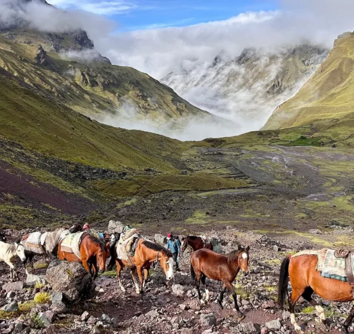 4D Lares y Camino Inca
