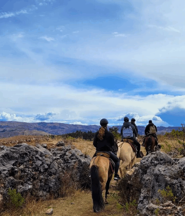 horse riding