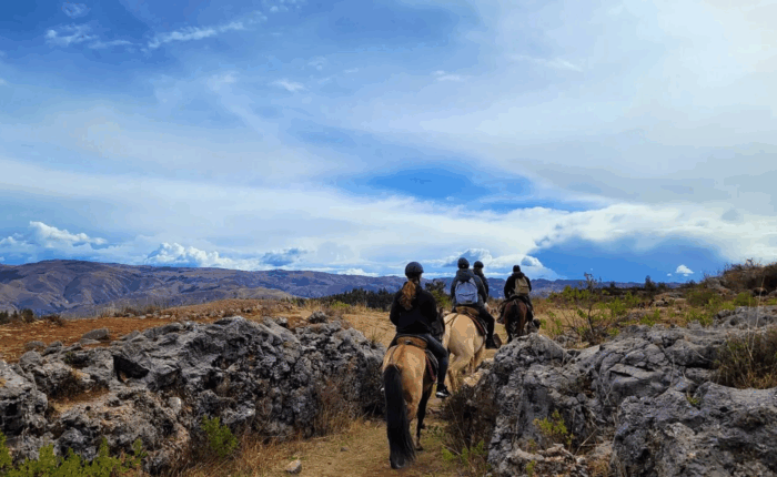 horse riding