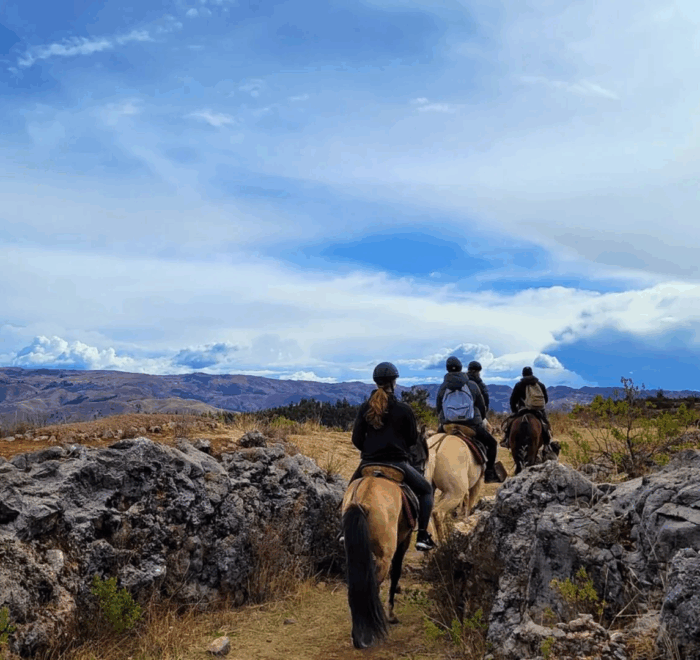 horse riding